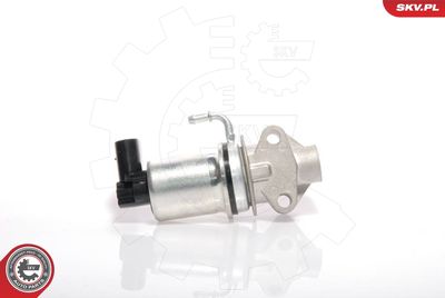 EGR Valve ESEN SKV 14SKV018