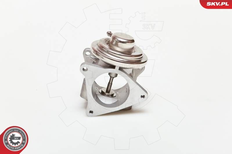 ESEN SKV 14SKV019 EGR Valve