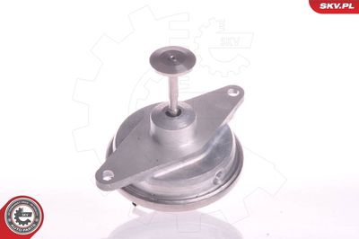 EGR Valve ESEN SKV 14SKV022