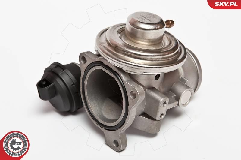 ESEN SKV 14SKV026 EGR Valve
