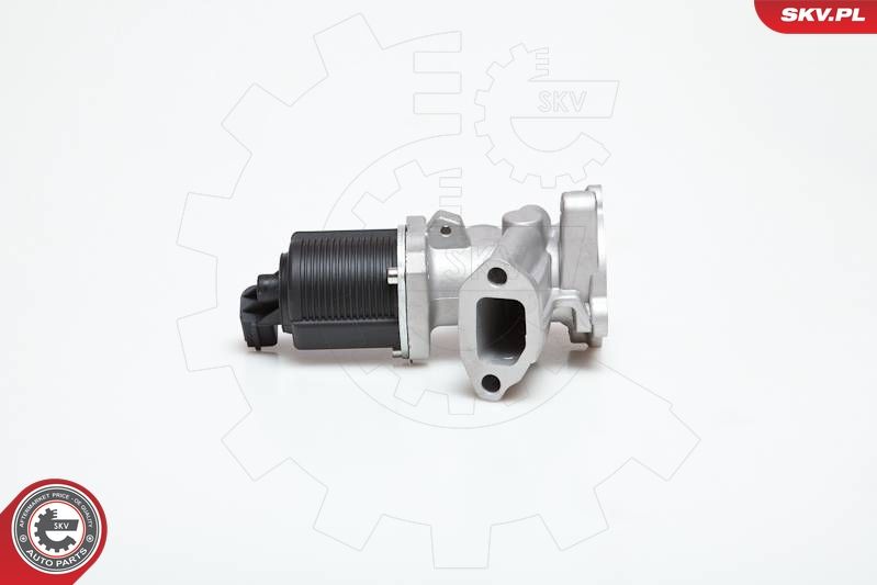 ESEN SKV 14SKV031 EGR Valve