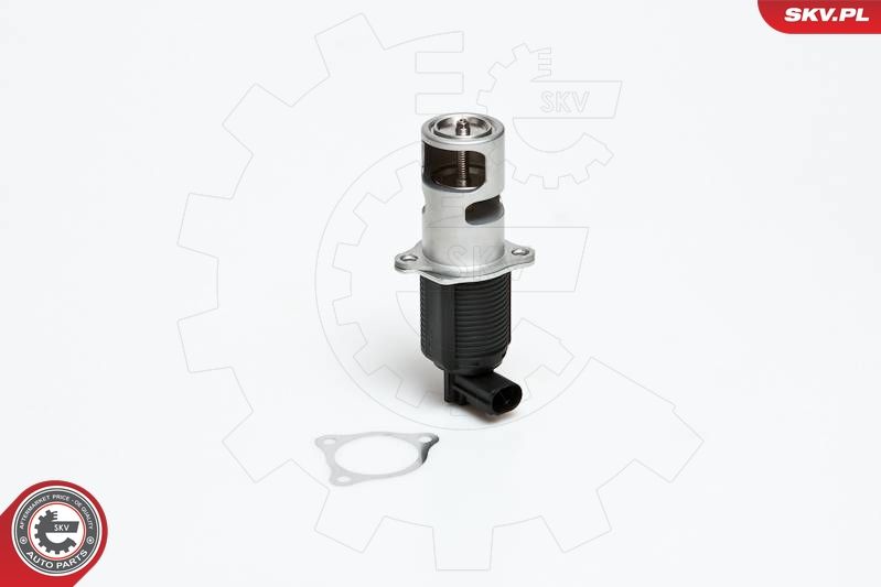 ESEN SKV 14SKV032 EGR Valve