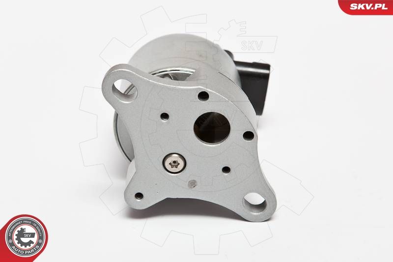 ESEN SKV 14SKV042 EGR Valve