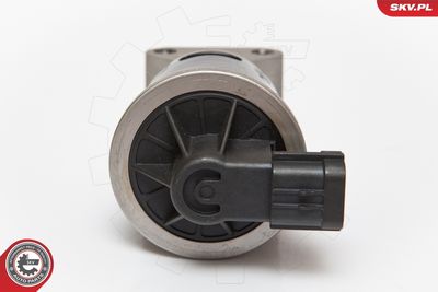 EGR Valve ESEN SKV 14SKV053