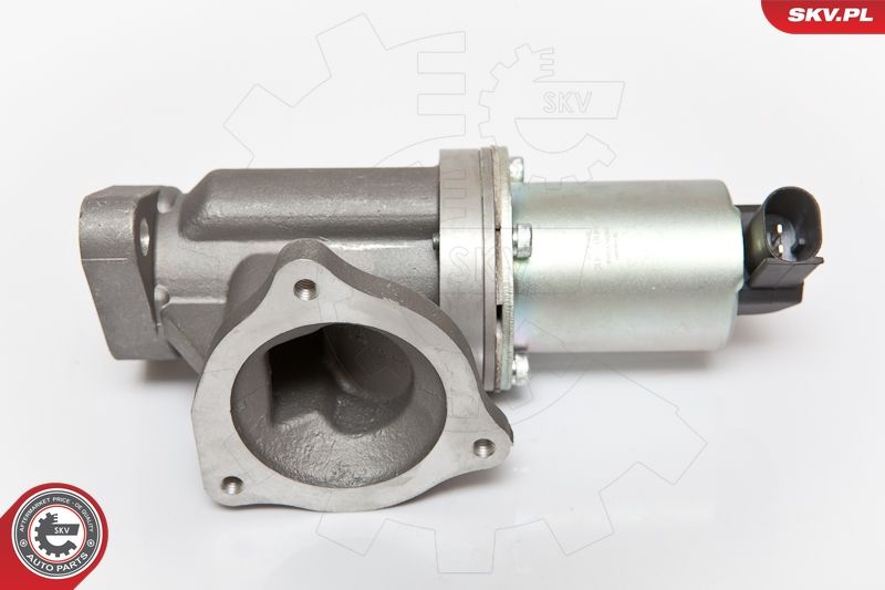 ESEN SKV 14SKV054 EGR Valve