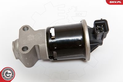 EGR Valve ESEN SKV 14SKV059