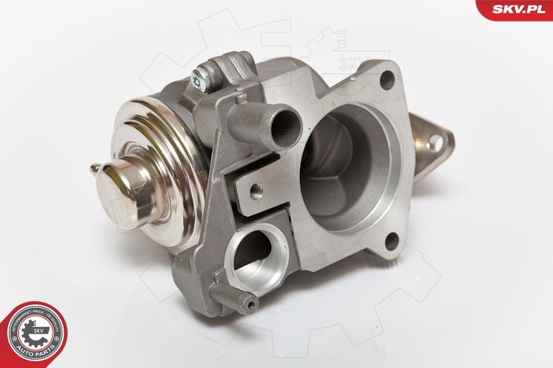 ESEN SKV 14SKV063 EGR Valve