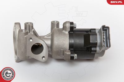EGR Valve ESEN SKV 14SKV066