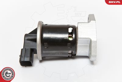 EGR Valve ESEN SKV 14SKV070