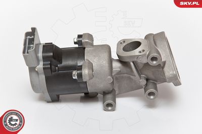 EGR Valve ESEN SKV 14SKV073