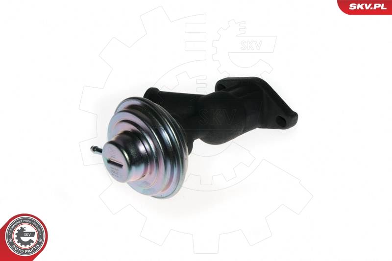 ESEN SKV 14SKV077 EGR Valve