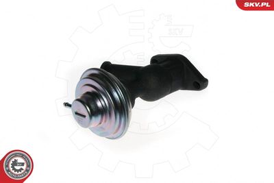 EGR Valve ESEN SKV 14SKV077