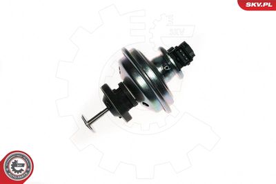 EGR Valve ESEN SKV 14SKV078