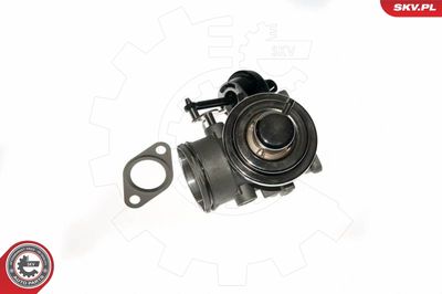 EGR Valve ESEN SKV 14SKV090