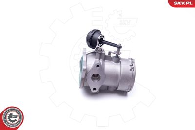 EGR Valve ESEN SKV 14SKV091