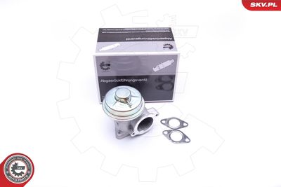 EGR Valve ESEN SKV 14SKV092