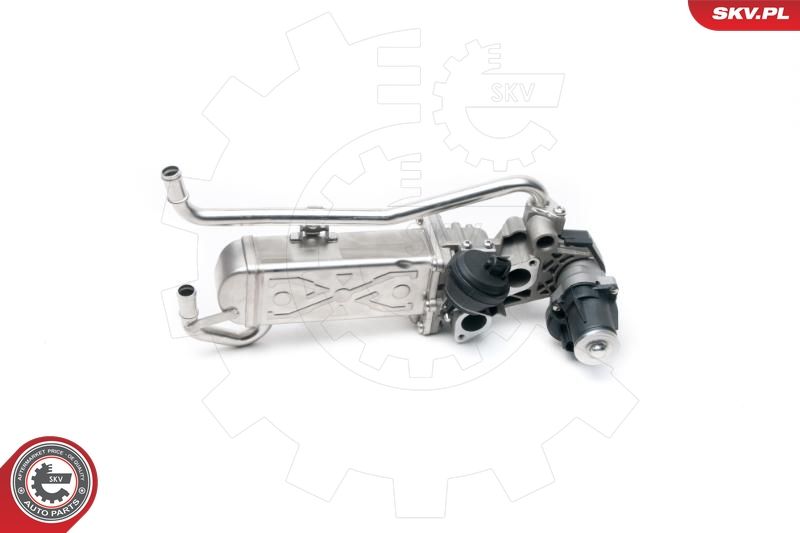 ESEN SKV 14SKV096 EGR Valve