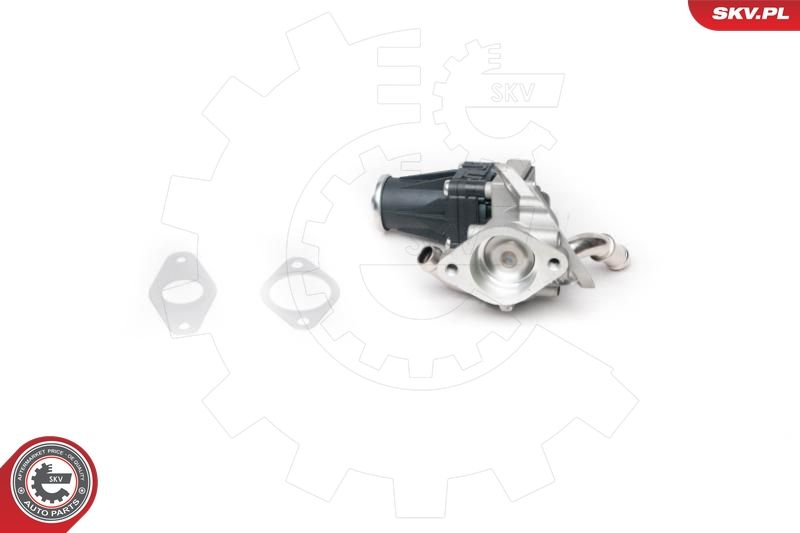 ESEN SKV 14SKV100 EGR Valve