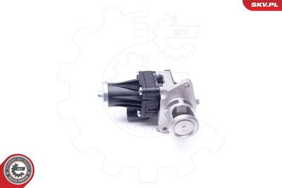 EGR Valve ESEN SKV 14SKV159