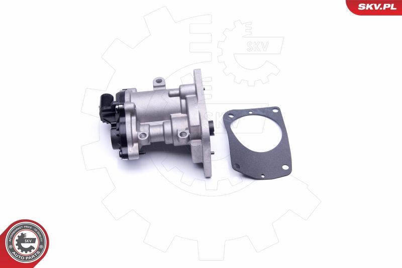 ESEN SKV 14SKV160 EGR Valve