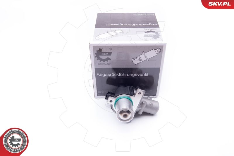 ESEN SKV 14SKV163 EGR Valve