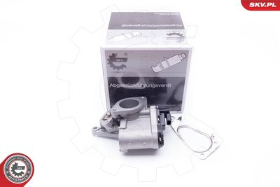 EGR Valve ESEN SKV 14SKV165