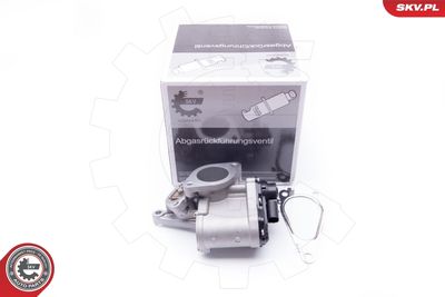 EGR Valve ESEN SKV 14SKV168