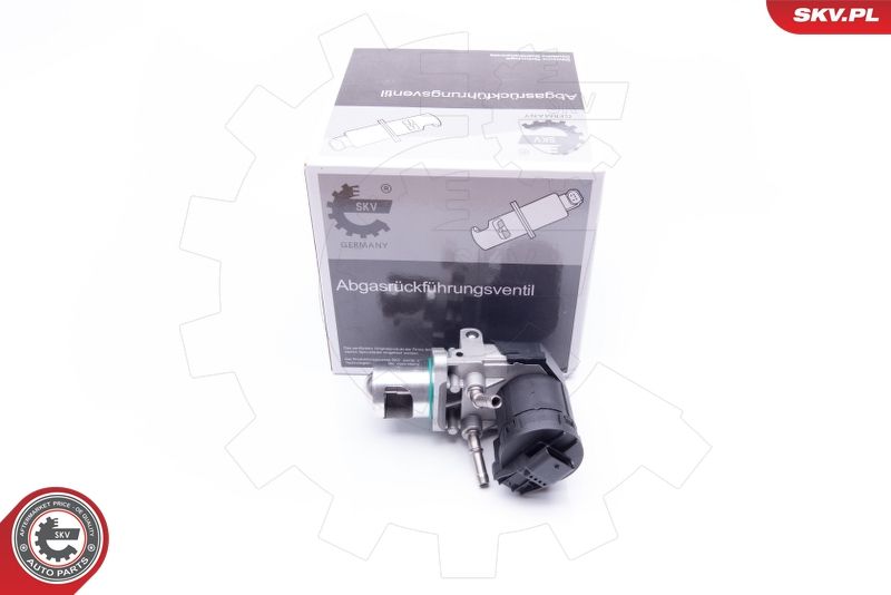ESEN SKV 14SKV169 EGR Valve