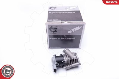 EGR Valve ESEN SKV 14SKV173