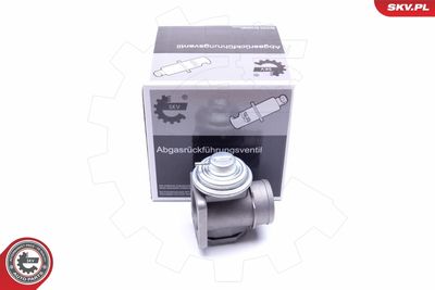 EGR Valve ESEN SKV 14SKV174