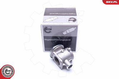 EGR Valve ESEN SKV 14SKV178