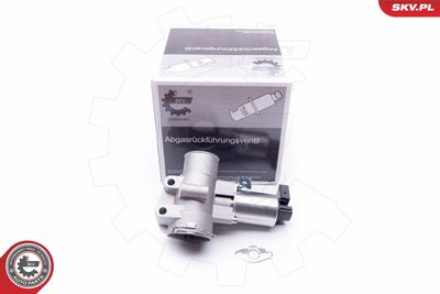 EGR Valve ESEN SKV 14SKV186