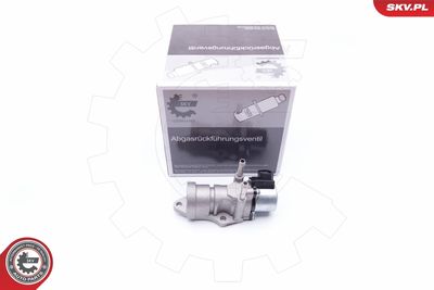 EGR Valve ESEN SKV 14SKV188