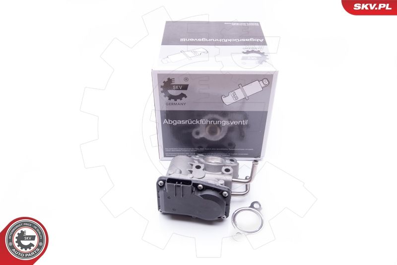 ESEN SKV 14SKV189 EGR Valve