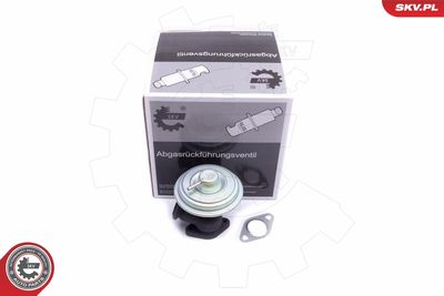 EGR Valve ESEN SKV 14SKV203