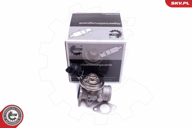ESEN SKV 14SKV206 EGR Valve