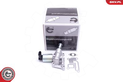 EGR Valve ESEN SKV 14SKV207