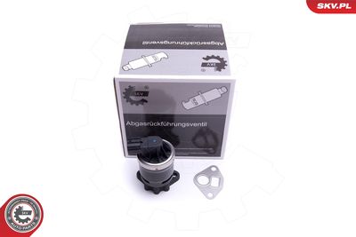 EGR Valve ESEN SKV 14SKV210