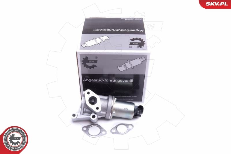 ESEN SKV 14SKV213 EGR Valve