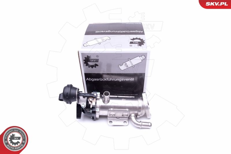 ESEN SKV 14SKV227 Cooler, exhaust gas recirculation