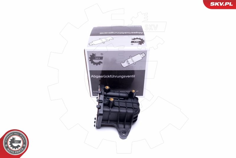 ESEN SKV 14SKV231 Cooler, exhaust gas recirculation