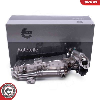 EGR Valve ESEN SKV 14SKV239