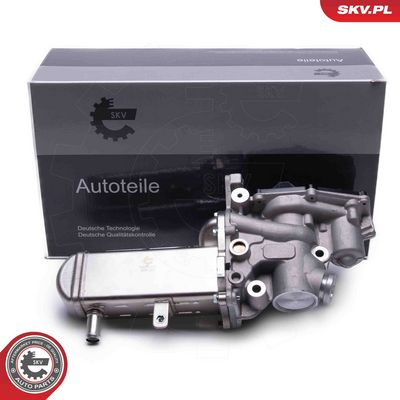EGR Valve ESEN SKV 14SKV241