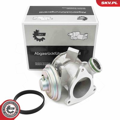 EGR Valve ESEN SKV 14SKV242