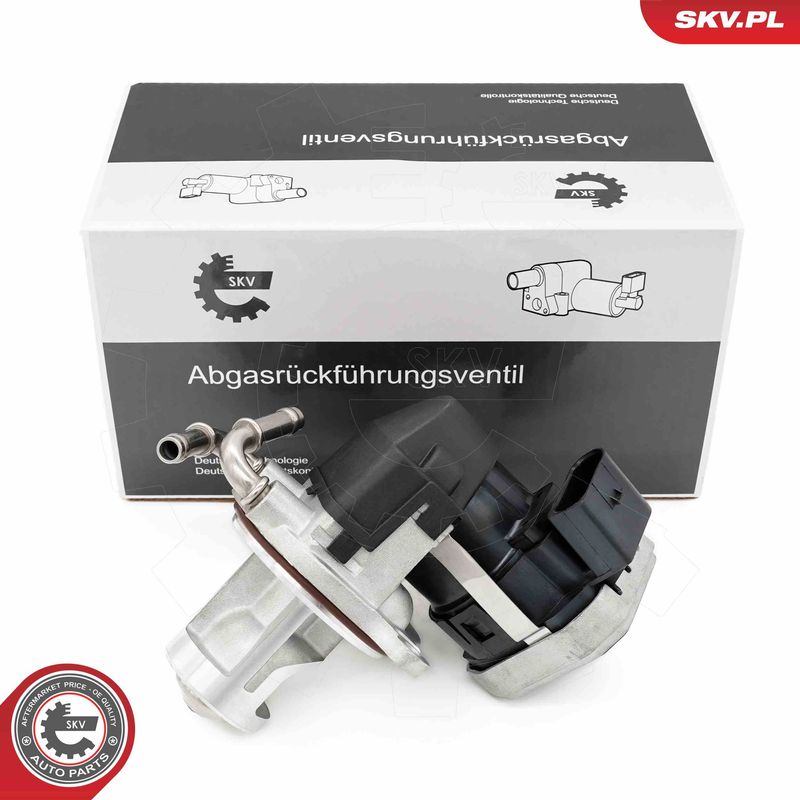 ESEN SKV 14SKV255 EGR Valve