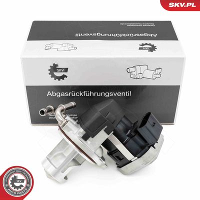 EGR Valve ESEN SKV 14SKV255