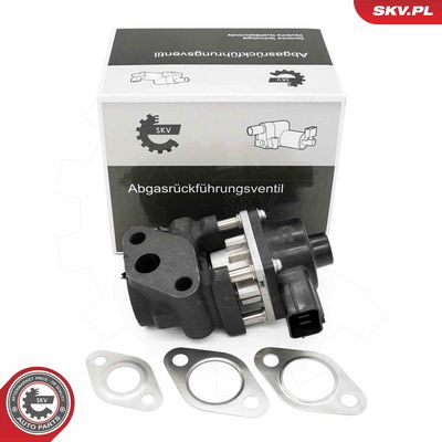 EGR Valve ESEN SKV 14SKV260
