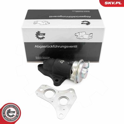 EGR Valve ESEN SKV 14SKV263