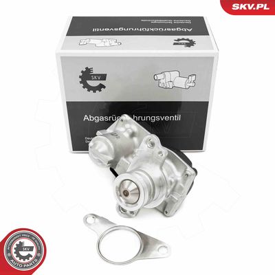 EGR Valve ESEN SKV 14SKV267