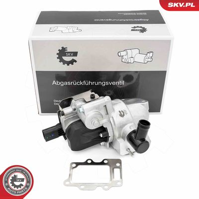 EGR Valve ESEN SKV 14SKV280